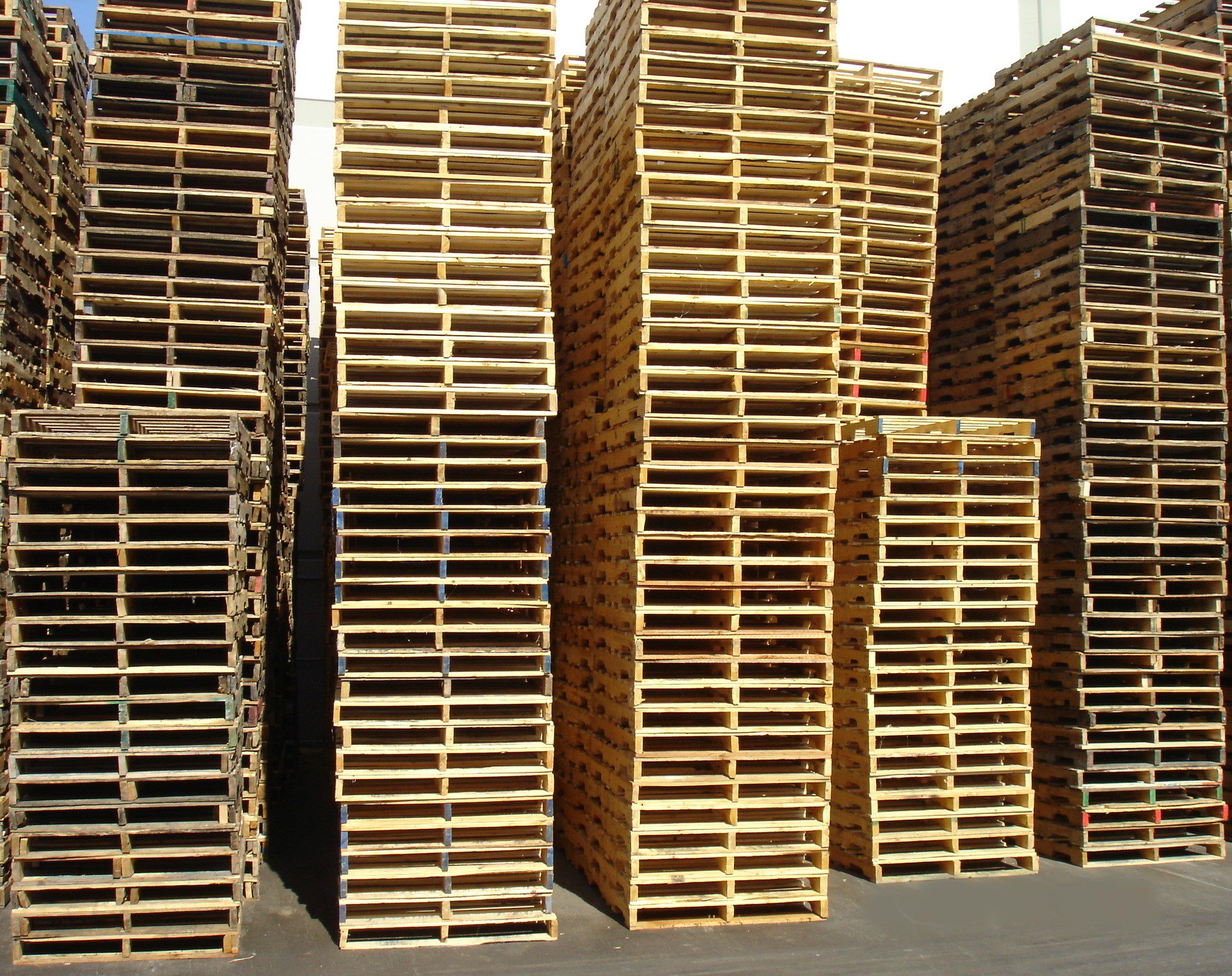 A Yard of Pallet Stacks 5